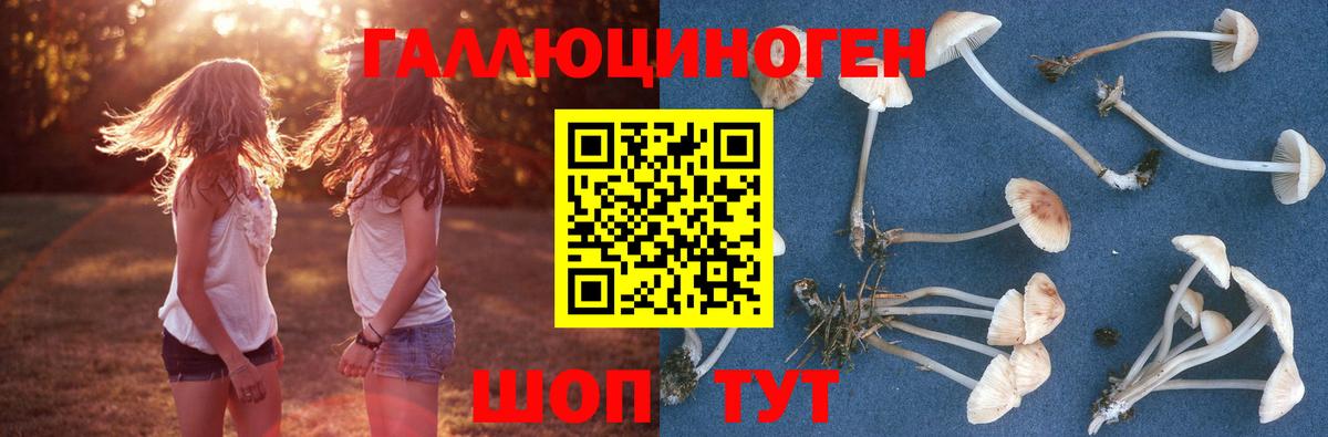 Галлюциногенные грибы Psilocybine cubensis  Вход с VPN  Лыткарино  Псилоцибиновые грибы ЛСД 
